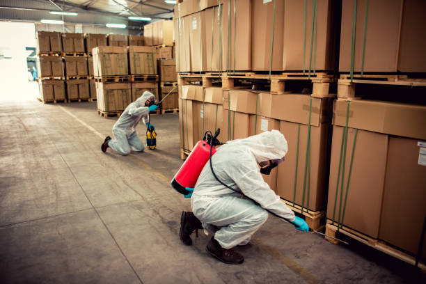 Professional Pest Control in Greenlawn, NY