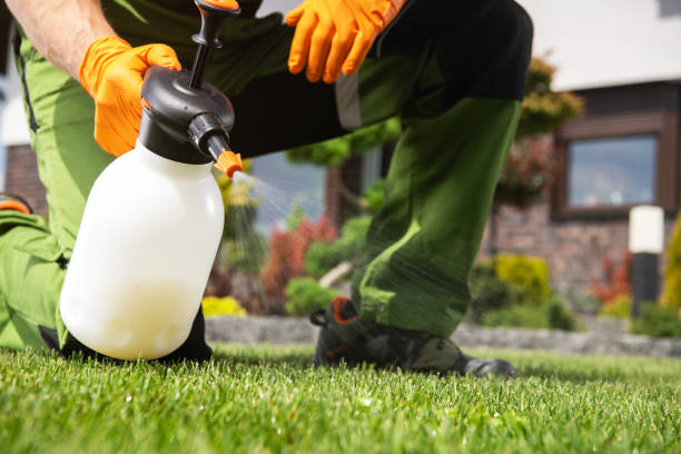 Reliable Greenlawn, NY Pest Control Solutions
