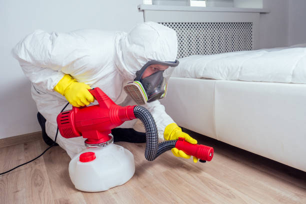 Wildlife Control Services in Greenlawn, NY