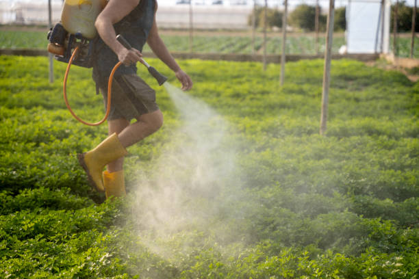 Best Residential Pest Control  in Greenlawn, NY