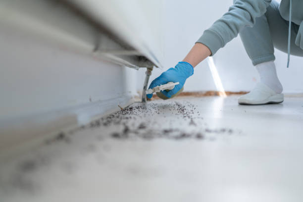 Bird Control in Greenlawn, NY